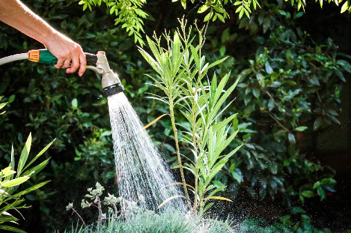 Water Restrictions Return after 10 years!